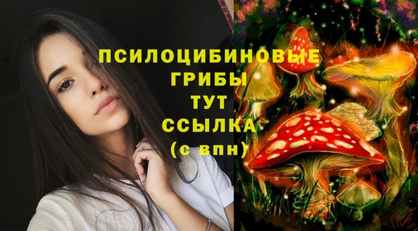 эйфоретик Алексеевка